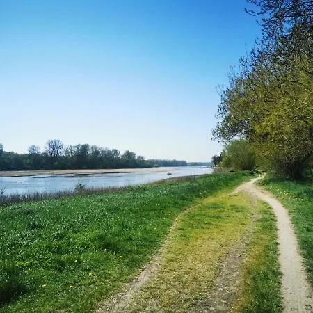 Le Nid Du Chene Sainte-Gemme-sur-Loire