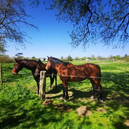 Apartment Le Nid Du Chene *