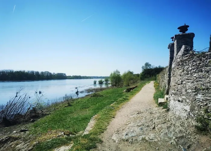 Le Nid Du Chene * Sainte-Gemme-sur-Loire