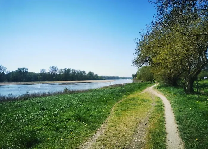 Le Nid Du Chene Sainte-Gemme-sur-Loire