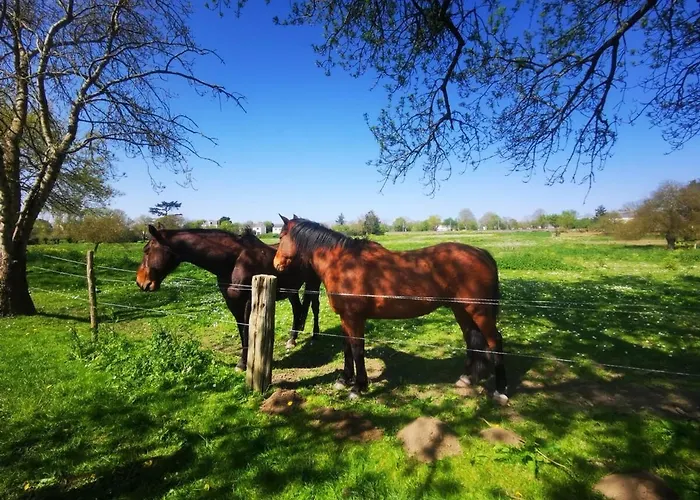 Lejlighed Le Nid Du Chene *